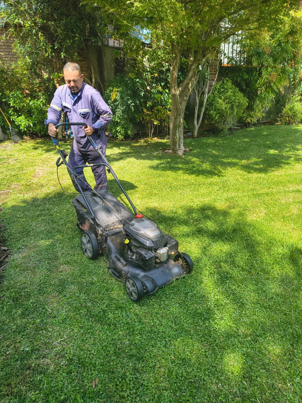 Corte de pasto y mantención de jardín