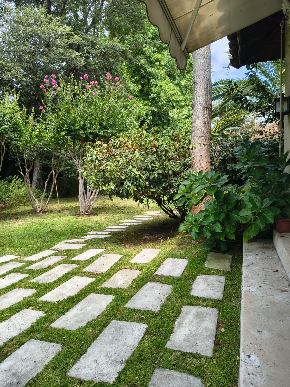 Jardín mantenido y ordenado