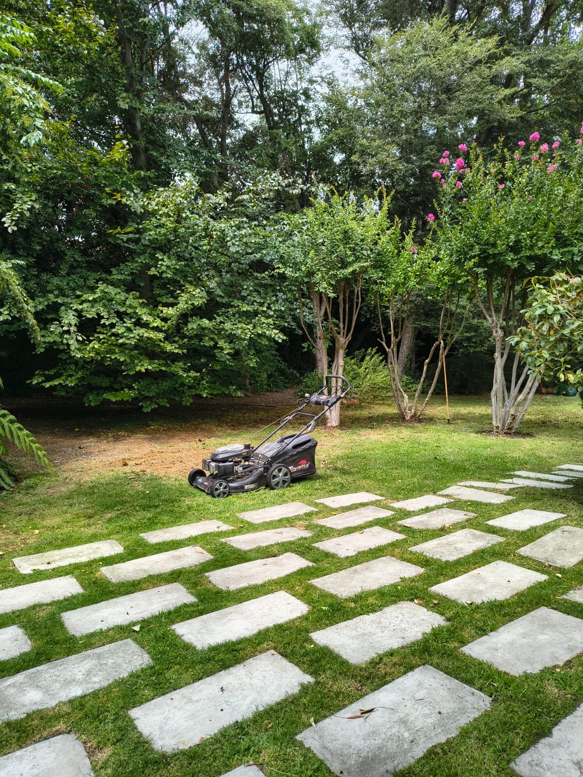 Mantención de jardín en terreno