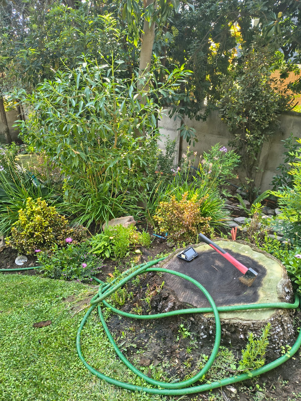 Riego tecnificado en jardín