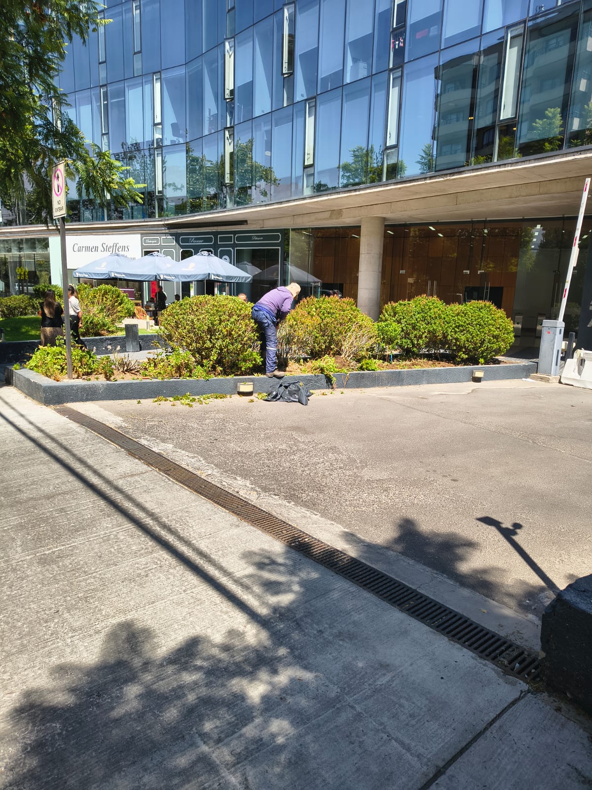 Mantención de áreas verdes en condominio